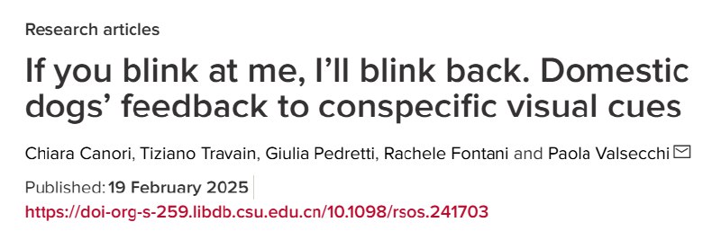 狗狗社交新密码：眨眼竟是汪星人的“暗号”？意大利帕尔马大学一项最新研究发现，狗狗可能通过眨眼实现“加密通话”