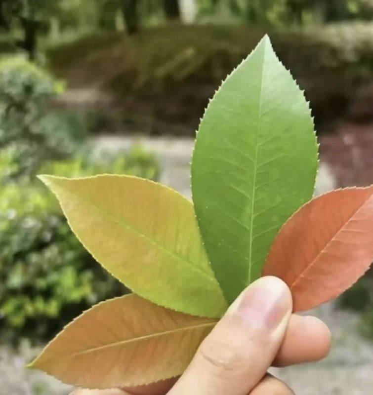 #日常 休息一下 马上回来