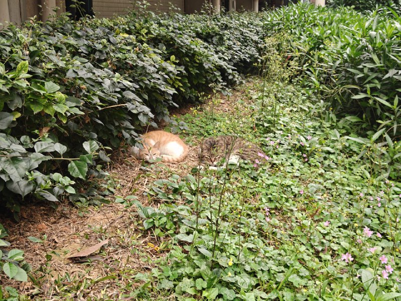 #日常 楼下发现两位学长