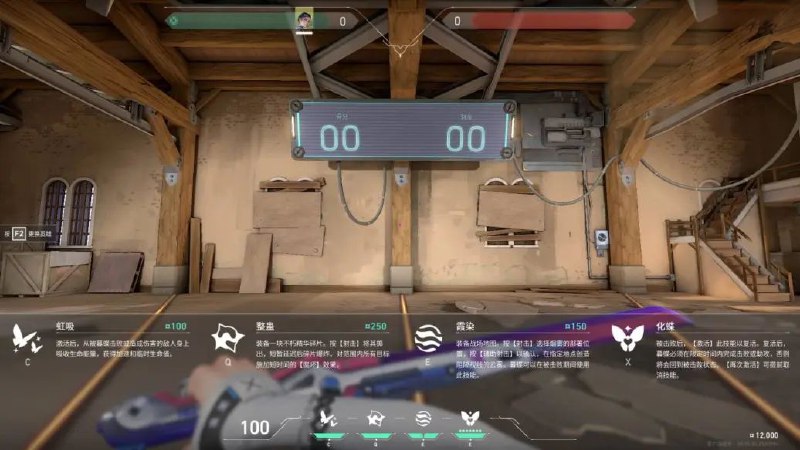 #瓦 新英雄 看这描述应该是死了还能放烟 好玩 爱玩 多玩 直接冲不慌 就是拼枪