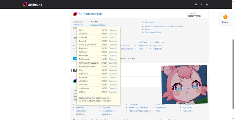 #羊毛 补充一下，JB这个是给你1年的更新，过期了以后，在这里有个 fallback ver，这里的版本对你是永久免费的多少也算是升个级吧，反正羊毛不亏