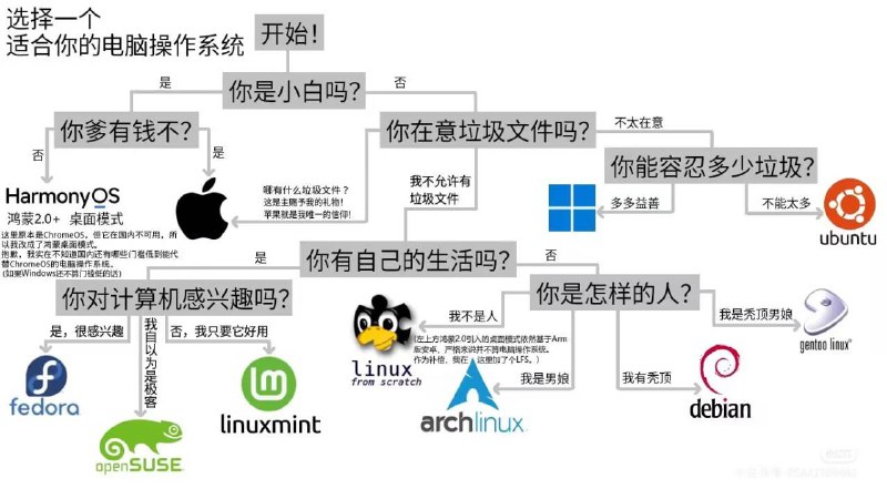 #乐子 #图片