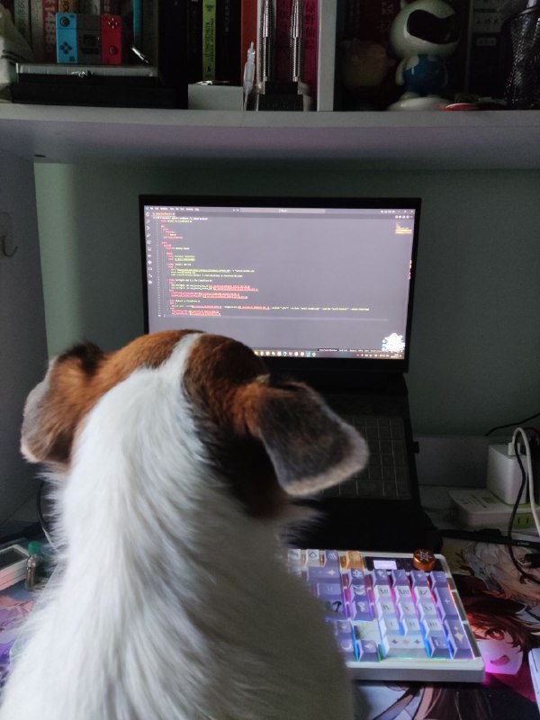 #日常 这年头狗子都会看代码了（bushi