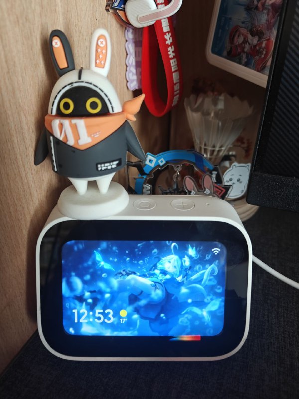 #日常 电子小垃圾到啦，装饰品+1其实是买来当蓝牙网关用的，不然我的温湿度计没法及时同步数据