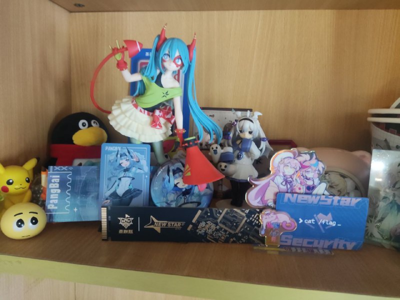 #日常 #NewStarCTF2024 Pangbai周边到啦，好看捏#日常 #NewStarCTF2024 Pangbai周边到啦，好看捏