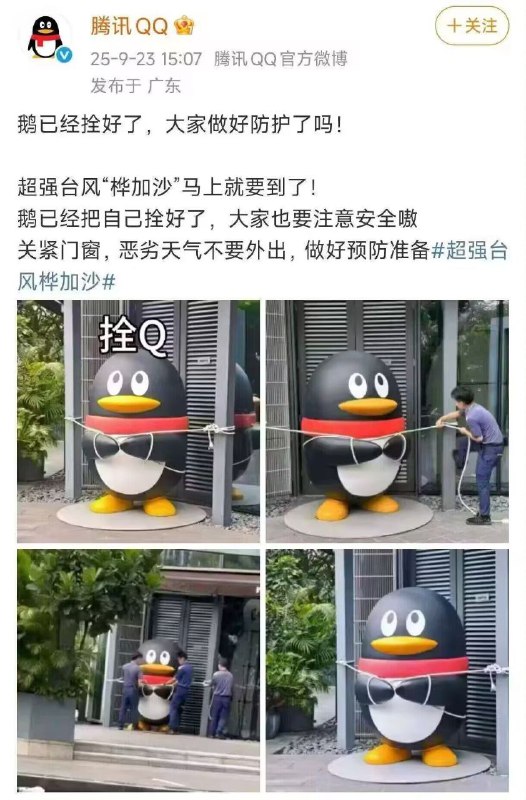 #日常 #乐子 台风要来了，企鹅被拴住了😂