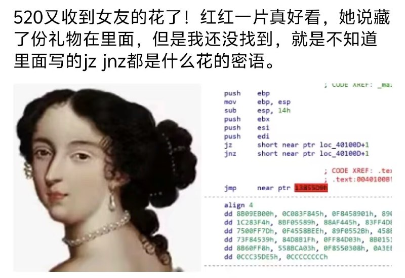 #乐子 #图片