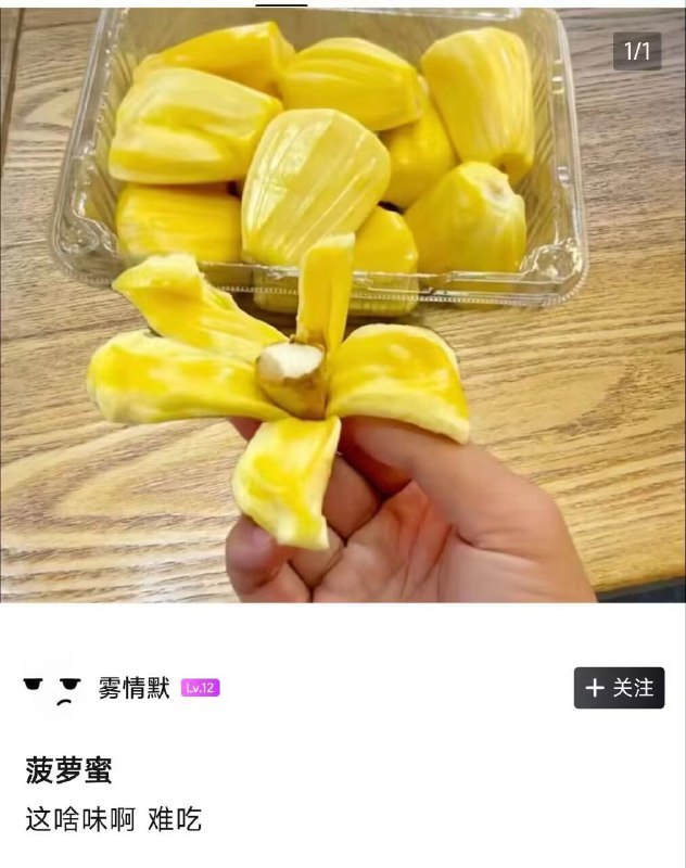 #梗图 #乐子