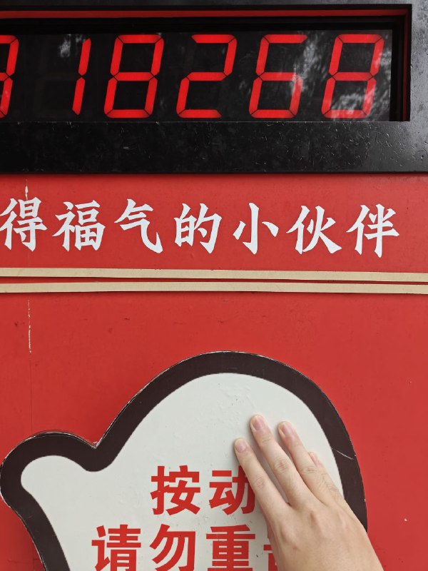 #日常 凌晨去爬山了，算是小团拓活动，但是今天天气不好，到了顶峰本来想看日出的，结果全是雾，看不到一点(⋟﹏⋞)