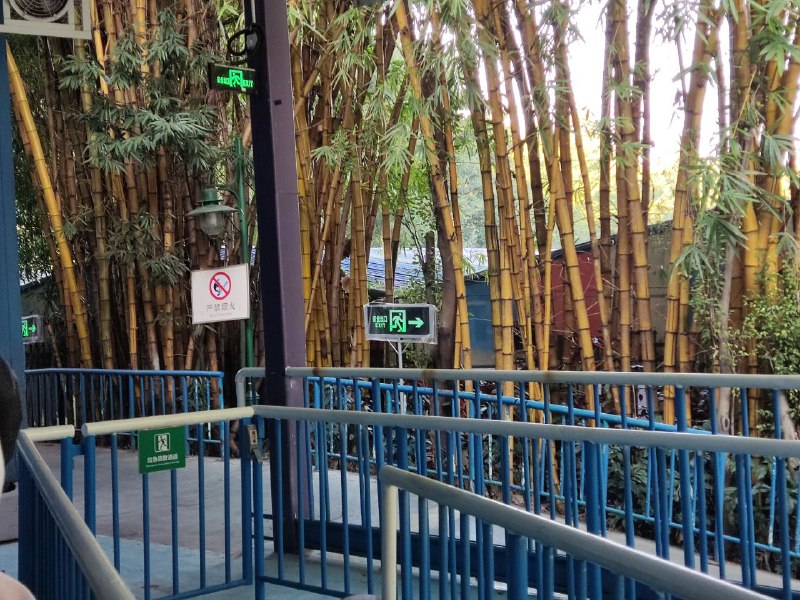 #日常 长隆这么抽象嘛，这个牌牌套塑料膜